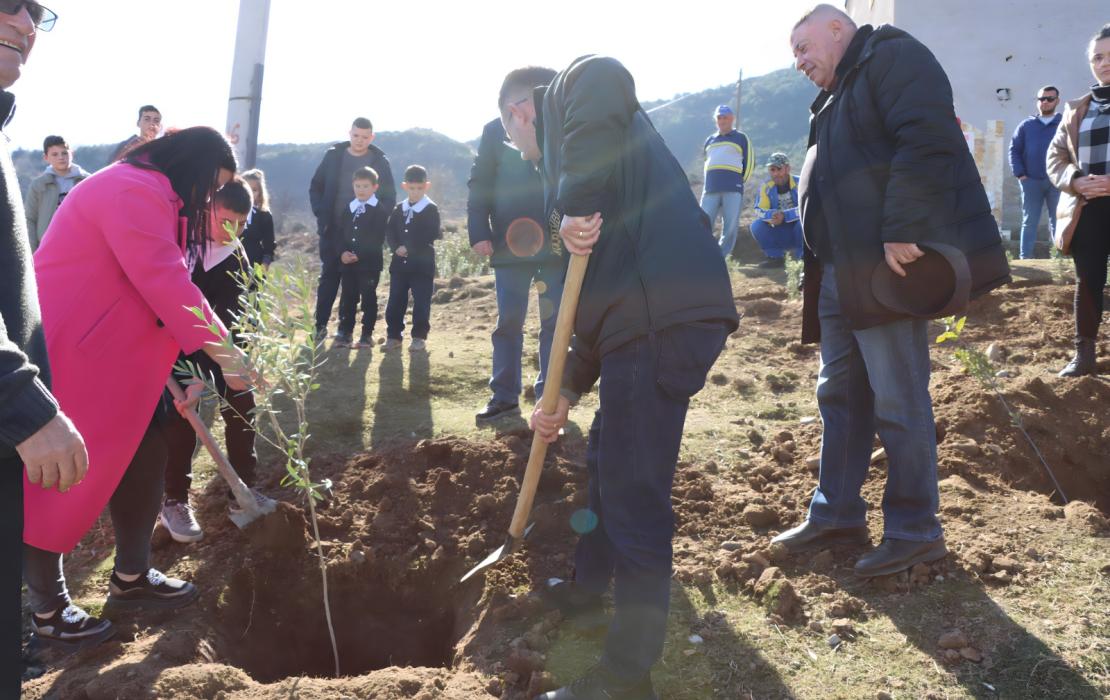 Photo: UNDP Albania Tree planting