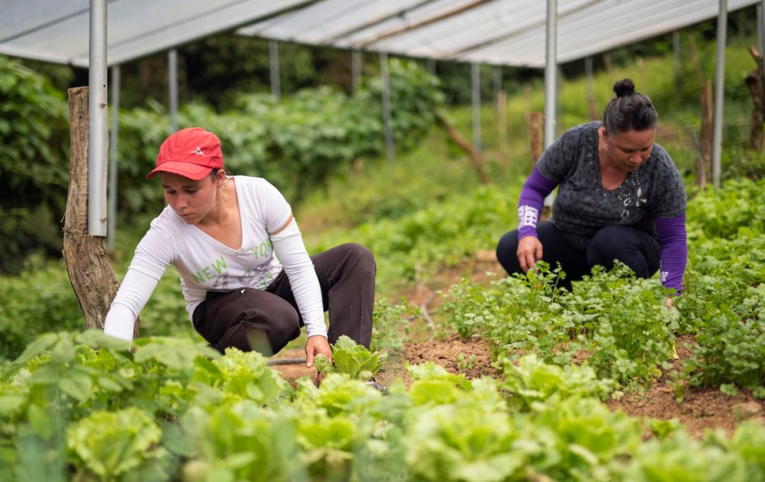 Mujeres trabajando en una huerta en Costa Rica